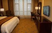 Туры в отель Venus Royal Hot Spring Hotel (Yangxi)
