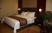 Туры в отель Venus Royal Hot Spring Hotel (Yangxi)