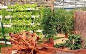Туры в отель Garden International Hotel