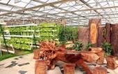Туры в отель Garden International Hotel