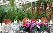 Туры в отель Garden International Hotel