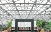 Туры в отель Garden International Hotel