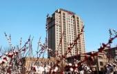 Туры в отель Garden International Hotel
