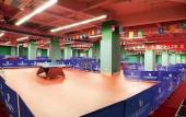 Туры в отель Garden International Hotel