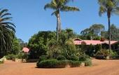 Туры в отель Forest Lodge Resort