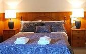 Туры в отель Forest Lodge Resort