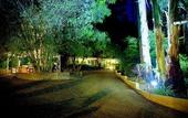 Туры в отель Forest Lodge Resort