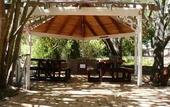 Туры в отель Forest Lodge Resort