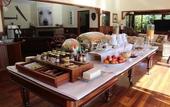 Туры в отель Forest Lodge Resort