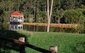 Туры в отель Forest Lodge Resort