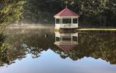 Туры в отель Forest Lodge Resort