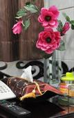 Туры в отель Pearl Premium Guest House