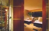 Туры в отель Regal Palace Hotel