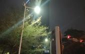 Туры в отель Fortune Land Shenzhen