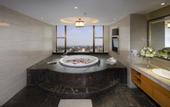 Туры в отель The Grand Plaza Hotel