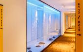 Туры в отель IU Hotel ·( Guangzhou Taihe Jinbo Tiandi Private Science and Technology Park Branch)