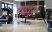 Туры в отель Shangli Hotel (Chengdu Zoo Metro Station)