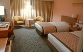 Туры в отель JR Hotel Clement Tokushima