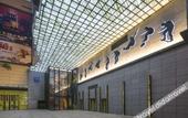 Туры в отель Novotel Xi'an Xinxing