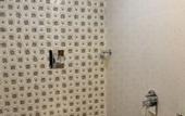 Туры в отель Hotel Flora Fountain