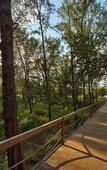 Туры в отель Ponte Villas