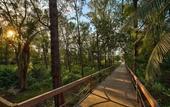 Туры в отель Ponte Villas