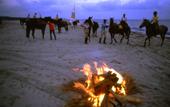 Туры в отель Horse Country Resort Congress & Spa