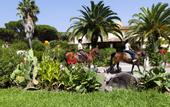Туры в отель Horse Country Resort Congress & Spa