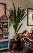 Туры в отель Chengdu Sonderia Hostel&Bar-Lazybones
