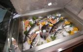 Туры в отель Hotel Aristocrat & Fish Restaurant