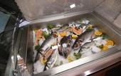 Туры в отель Hotel Aristocrat & Fish Restaurant