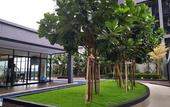 Туры в отель Mercure Kuala Lumpur Glenmarie