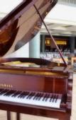 Туры в отель Wazo Hotel