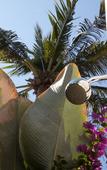 Туры в отель Gili Tenda Resort