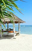 Туры в отель Gili Tenda Resort
