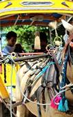 Туры в отель Gili Tenda Resort