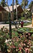 Туры в отель Gili Tenda Resort