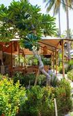Туры в отель Gili Tenda Resort