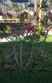 Туры в отель Gili Tenda Resort