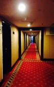 Туры в отель Shanshui Trends Hotel (Changsha Wuyi Square Railway Station Store)