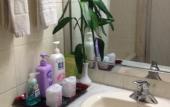 Туры в отель Shanshui Trends Hotel (Changsha Wuyi Square Railway Station Store)