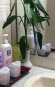 Туры в отель Shanshui Trends Hotel (Changsha Wuyi Square Railway Station Store)