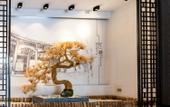 Туры в отель Yunya Interational Hotel(Kuanzhai  Xiangzi Jinli)