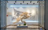 Туры в отель Yunya Interational Hotel(Kuanzhai  Xiangzi Jinli)