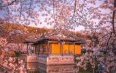 Туры в отель Holiday Inn WUXI CENTRAL STATION by IHG
