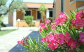 Туры в отель Borgo Mulino a Vento - Resort
