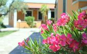 Туры в отель Borgo Mulino a Vento - Resort