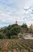 Туры в отель Hotel Miravalle