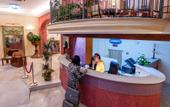 Туры в отель Hotel Flora