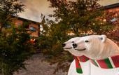 Туры в отель Kawaguchiko Villa FJ Resort